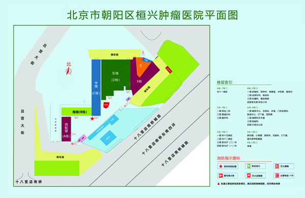 女人扣逼操逼视频免费版北京市朝阳区桓兴肿瘤医院平面图